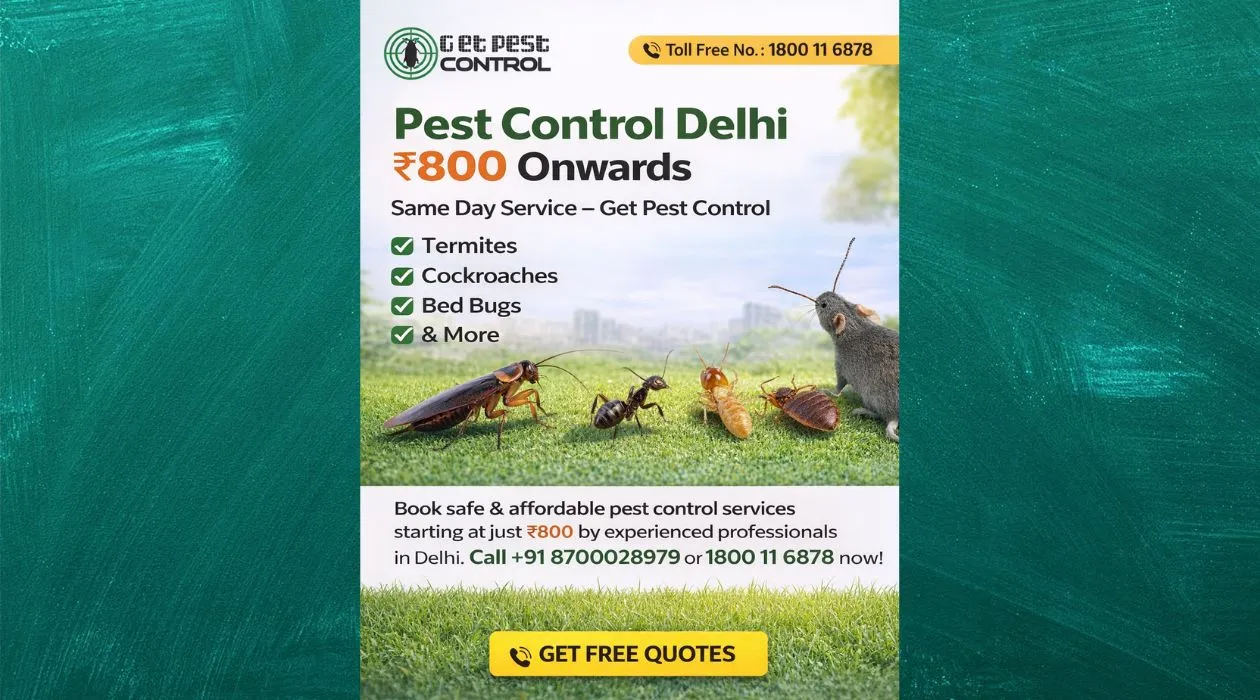 Pest Control Charges in Delhi | Affordable Pest Services