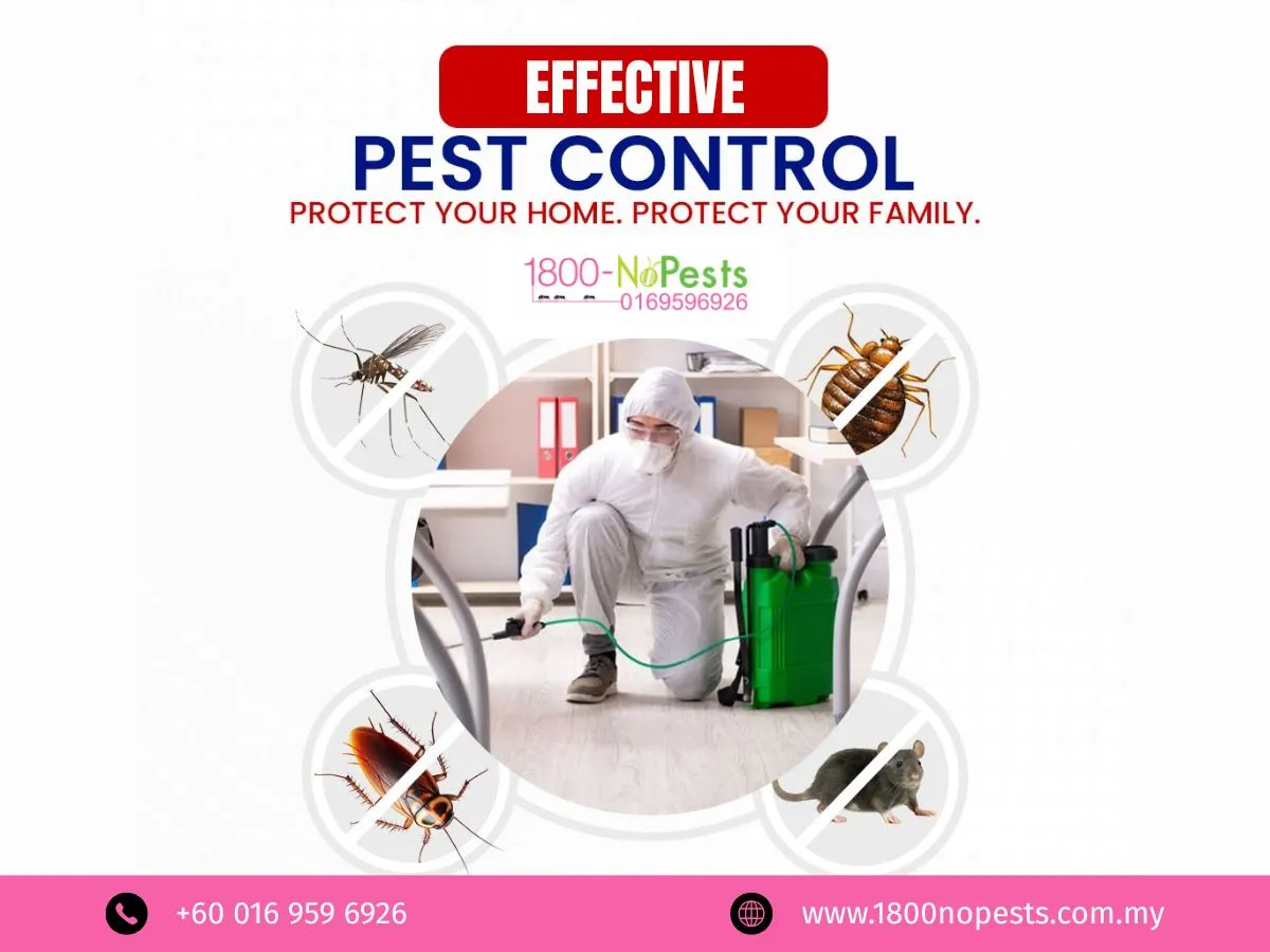 Effective Pest Control Malaysia | 1800NoPests