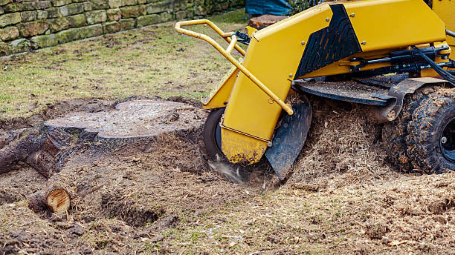 How Stump Grinding in Billings MT Makes Your Yard Safer for Family and Visitors