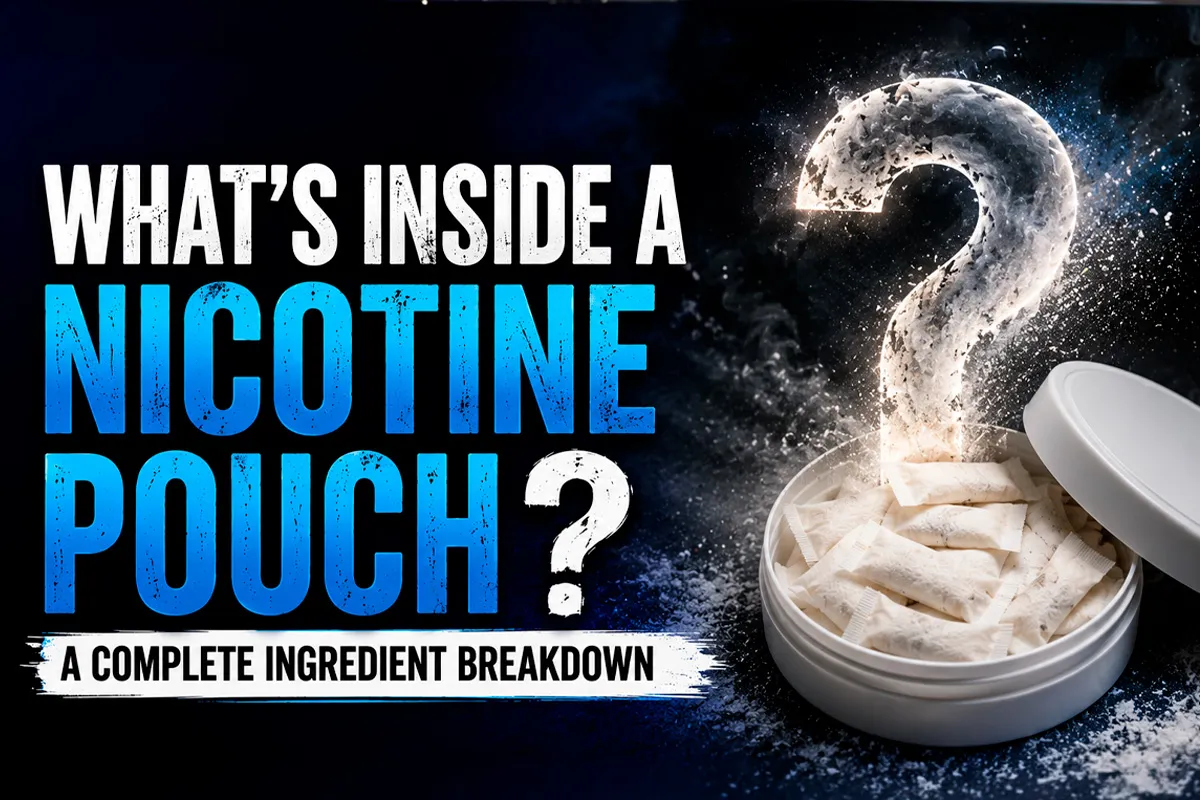 Whats Inside a Nicotine Pouch? A Complete Ingredient Breakdown