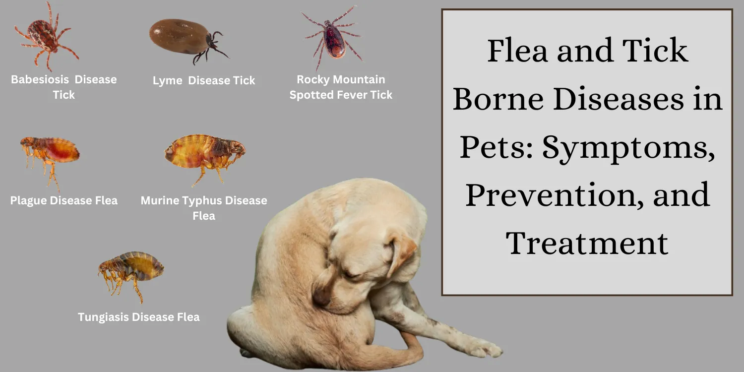 Flea and Tick Borne Diseases in Pets: Symptoms, Prevention, and Treatment