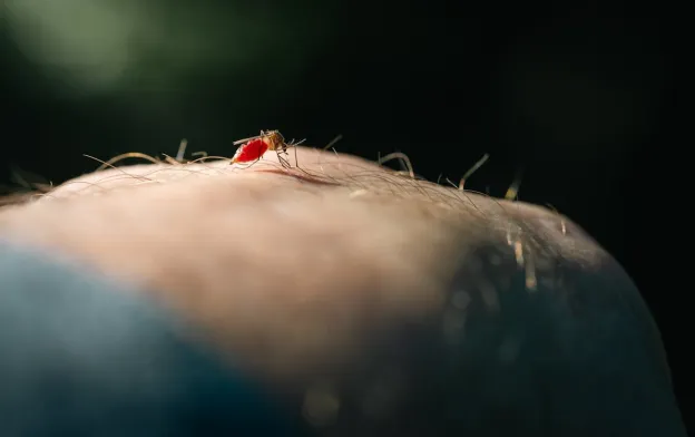 Why Coastal Homes in Texas Experience Faster Pest Infestations Than Inland Areas