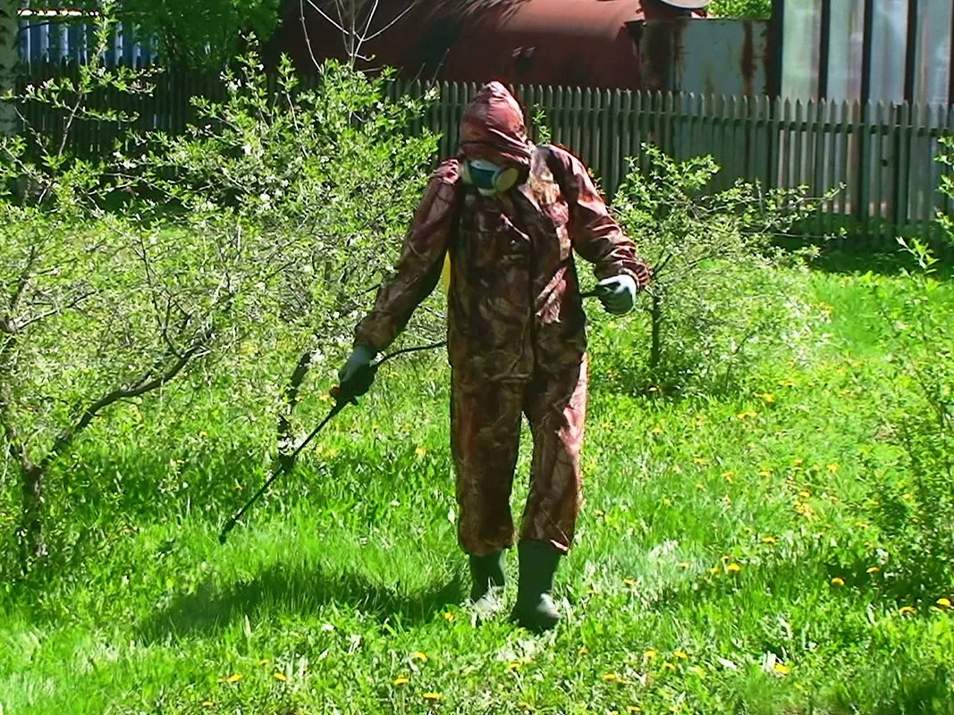 The ROI Of Professional Weed Control In Abbotsford