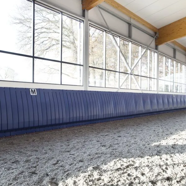 Why Equine Rehab Centers Rely on Advanced Training and Therapy Equipment