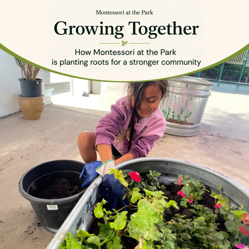 Montessori Programs for Infants, Toddlers, Preschool & Elementary Students
