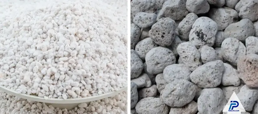 Perlite Water Retention Solutions for Oregon Agriculture and West Coast Growing Conditions