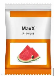 High Yield Watermelon Seeds in India