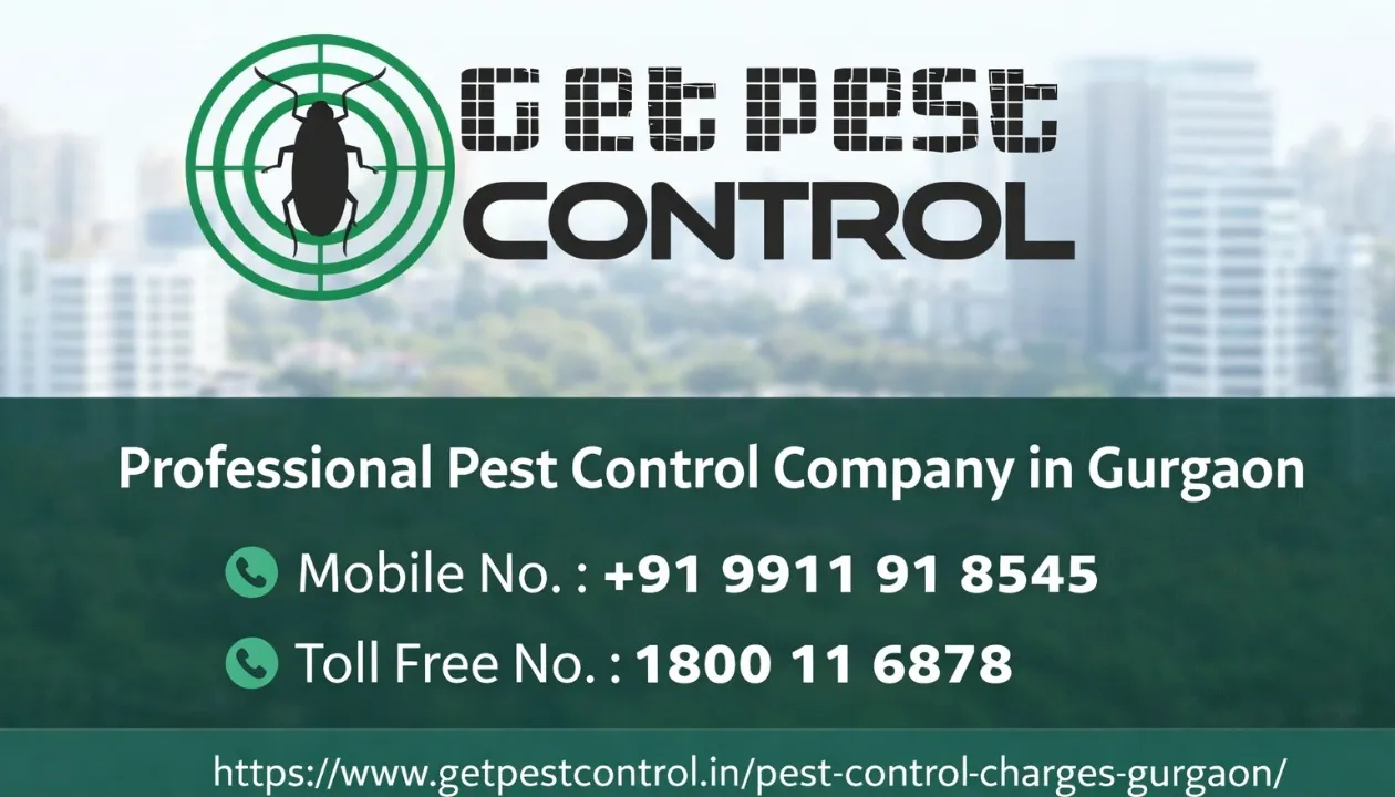 Pest Control Charges in Gurgaon Starting at ₹799 | Book Experts