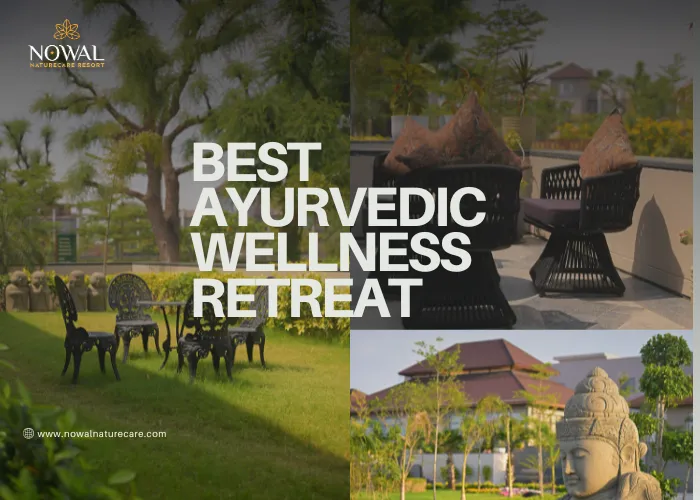 Best Ayurvedic Wellness Retreat | Nowal NatureCare