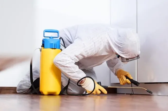 Pest Control Uxbridge | Safe and Reliable Pest Removal for Homes