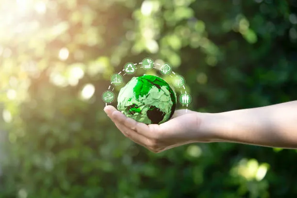 The Business Case for Climate Action Beyond Company Walls