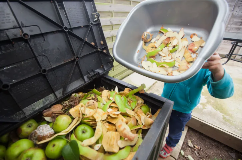 What Happens To Food Waste If It’s Not Properly Managed?