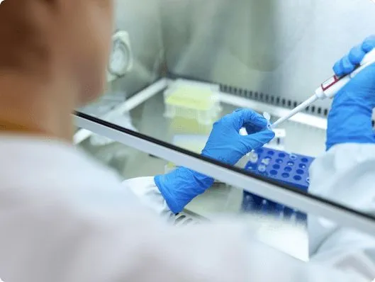 Professional Test Identifies Hidden Spores To Ensure Healthy Indoor Air