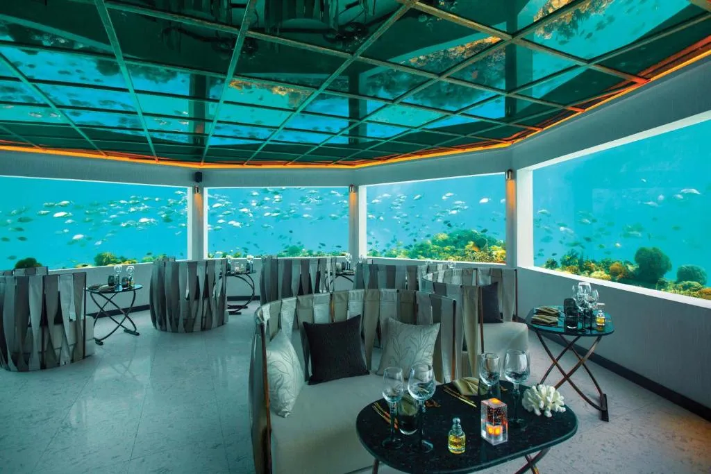 Tips for Visiting an Underwater Restaurant in the Maldives