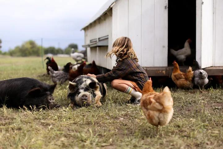 3 Easy and Nourishing Pasture Raised Protein Recipes