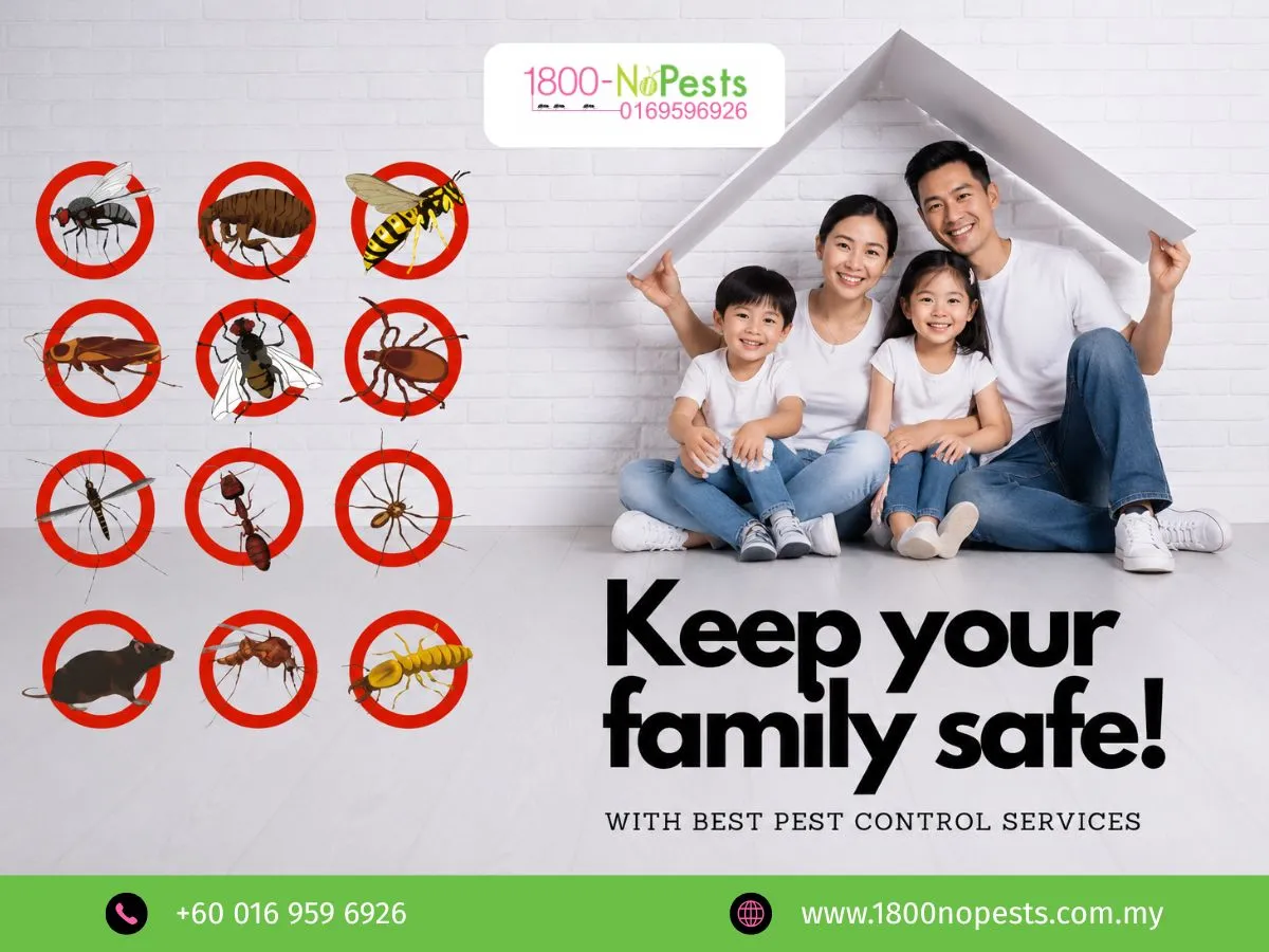 residential pest control services