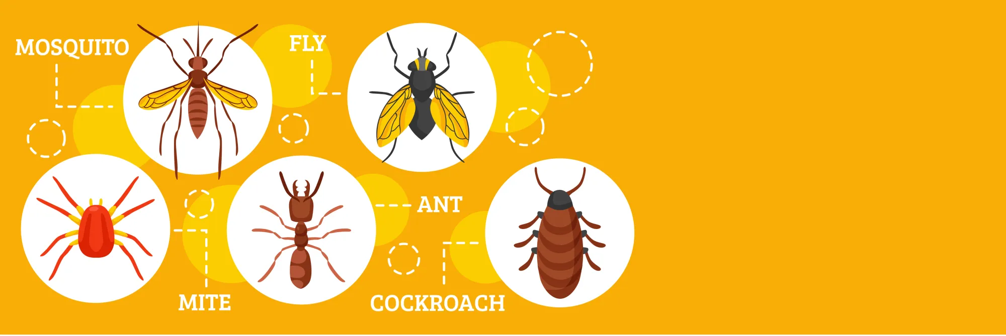 Why Malaysian Homeowners Need Professional Residential Pest Control Services Now