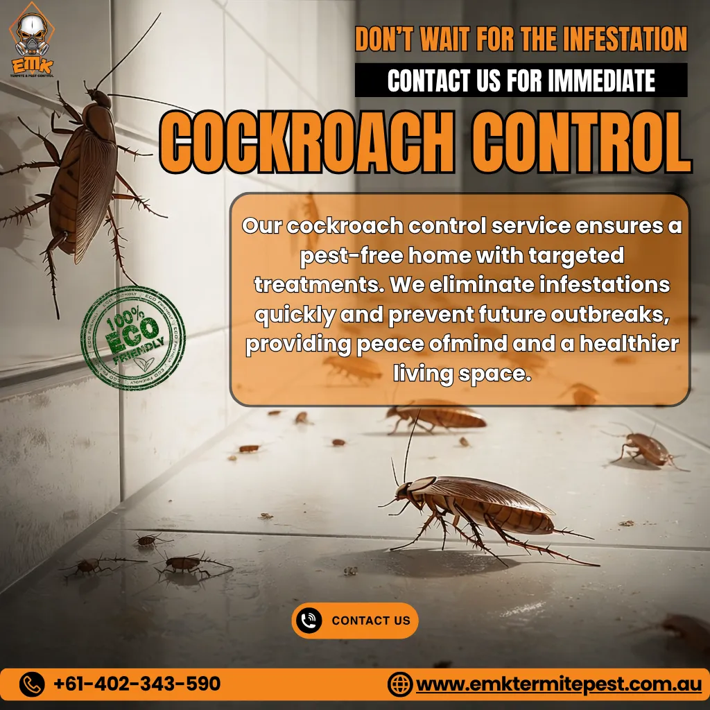 Why Cockroach Pest Control Is Essential for Sydney Homes