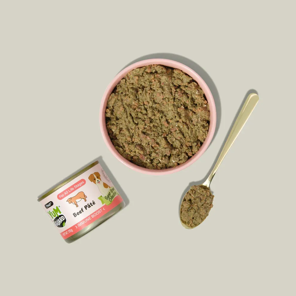 Does YumGuard Paste Rica Fix Picky Dogs?