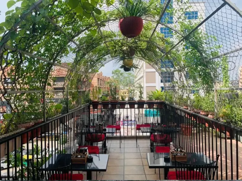 Why The Big Tree Cafe is Jaipur’s Hidden Hangout Spot
