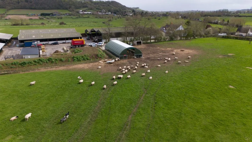 Moderne Kälberställe für effiziente Tierhaltung und optimierte Betriebsabläufe
