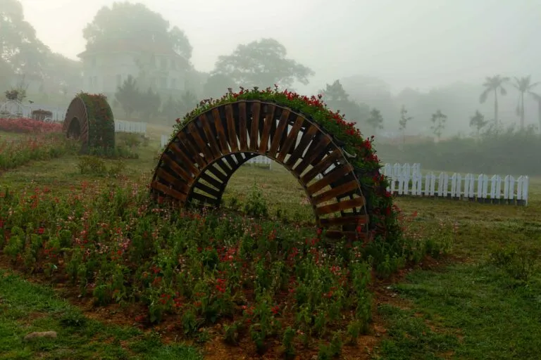 How Reclaimed Garden Furniture Reflects Natural Growth Over Time