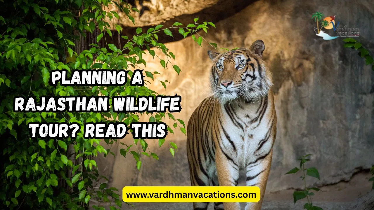 Planning a Rajasthan Wildlife Tour? Read This