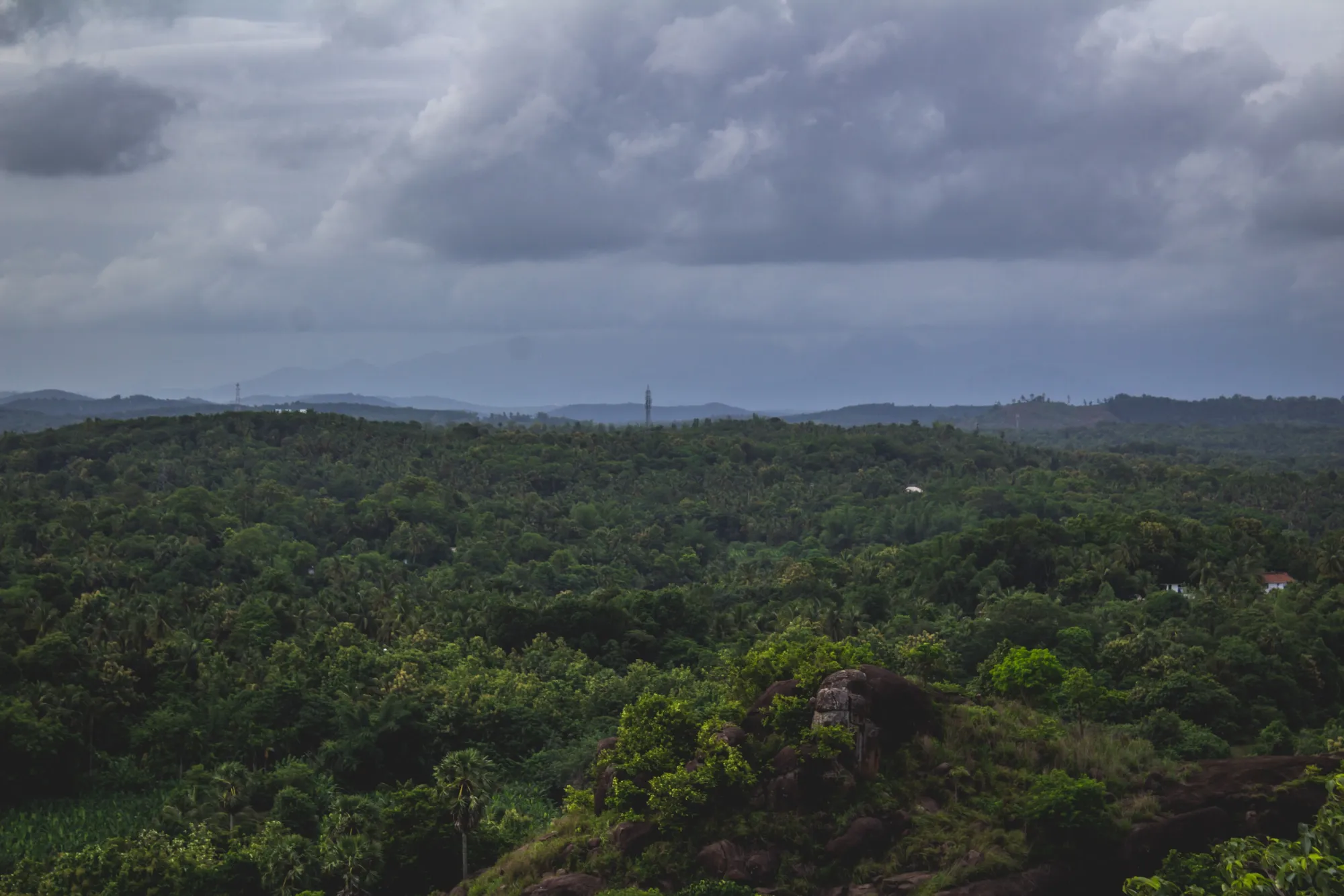 Thanal Trust: Building Climate-Resilient, Sustainable Communities