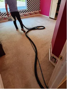 Area Rug Cleaning in Palm Harbor: Keeping Luxury Rugs Looking New