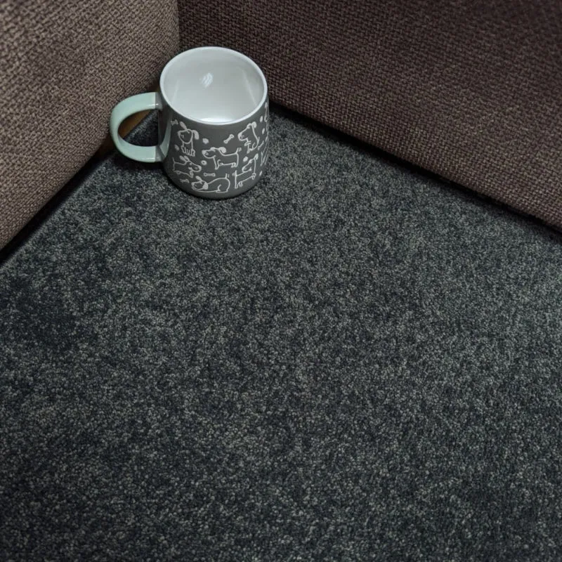 Best Soft Grey Carpet for Modern Homes