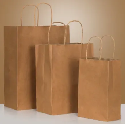 Brown Paper Bag Solutions in Canada – Premium Style by Prestige and Fancy