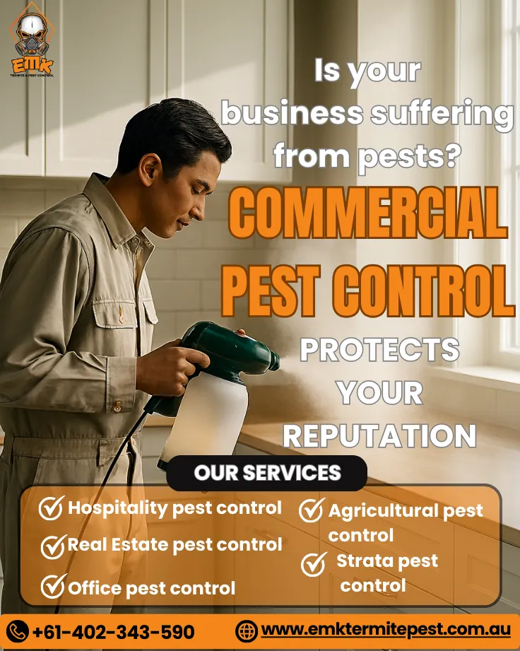 How to Choose the Right Commercial Pest Control Company