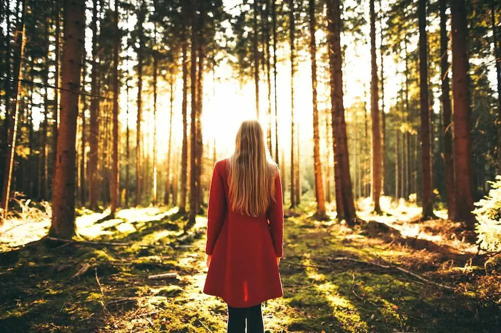 Integrating the Shadow: What Ancient Rituals Still Teach Us Today?