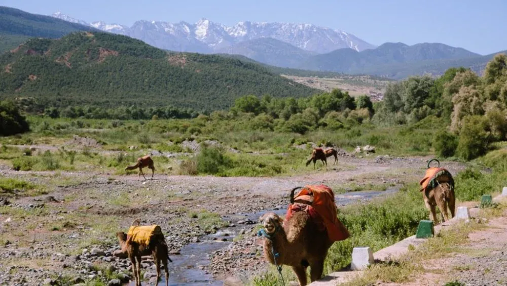 Understanding the Geography of Morocco’s Atlas Mountains
