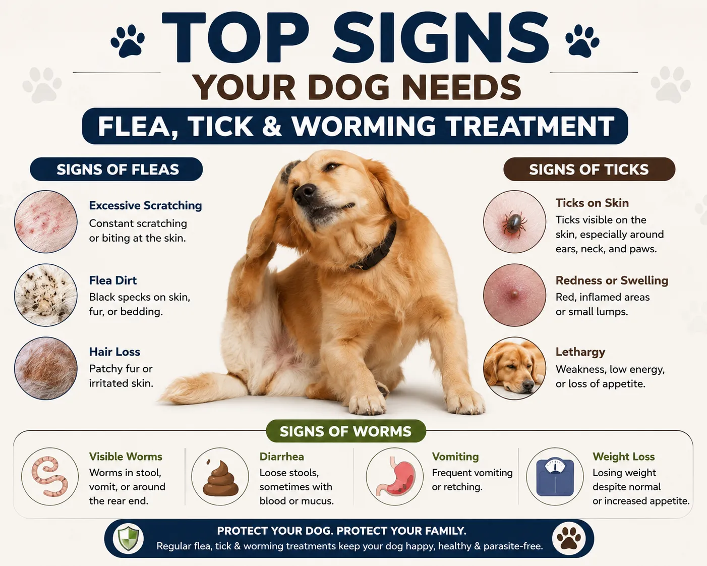Top Signs Your Dog Needs Flea, Tick & Worming Treatment