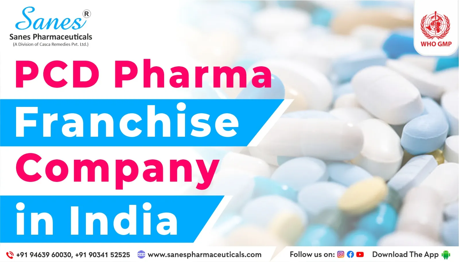 Exploring the Future Growth Potential of the PCD Pharma Franchise Sector