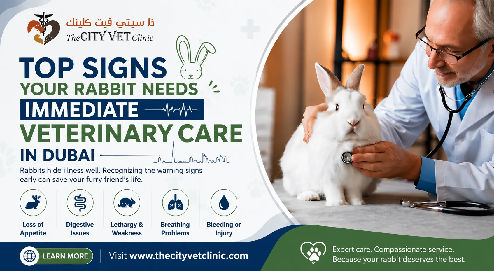 rabbit vet in Dubai