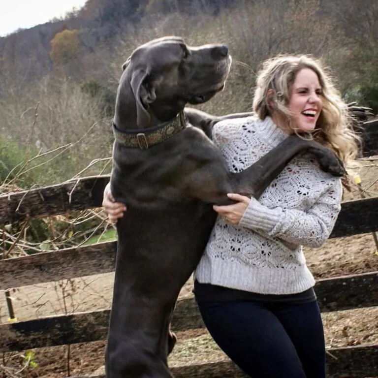 Overnight Pet Sitting: The Best Way to Keep Your Pets Safe and Happy