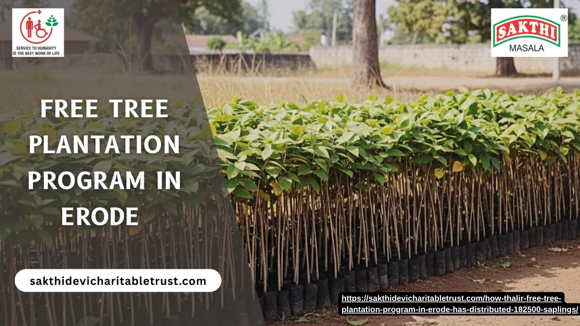 How Thalir Free Tree Plantation Program in Erode Has Distributed 1,82,500+ Saplings