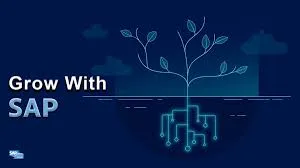 Financial Realities of GROW with SAP Public Cloud