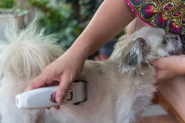 Mobile Pet Grooming Orange County: Convenience Meets Quality