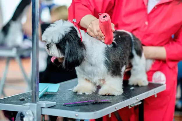 Mobile Dog Grooming in Orange County: Safety and Hygiene Guide