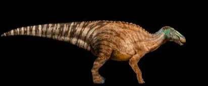 Why Fossilized Dinosaur Remains Continue To Inspire?