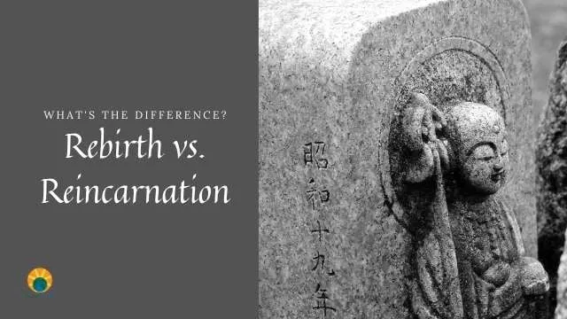 Buddhism Reincarnation: What Really Continues After You Die?