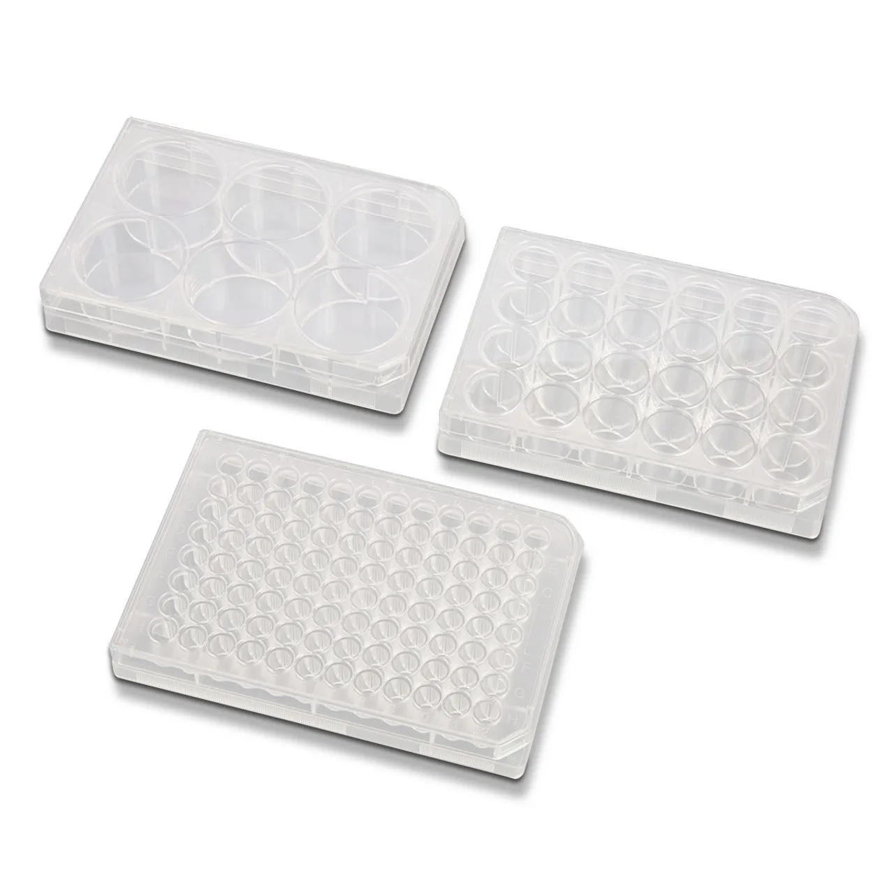 Sterility in Cell Culture: Best Practices for Using Consumables