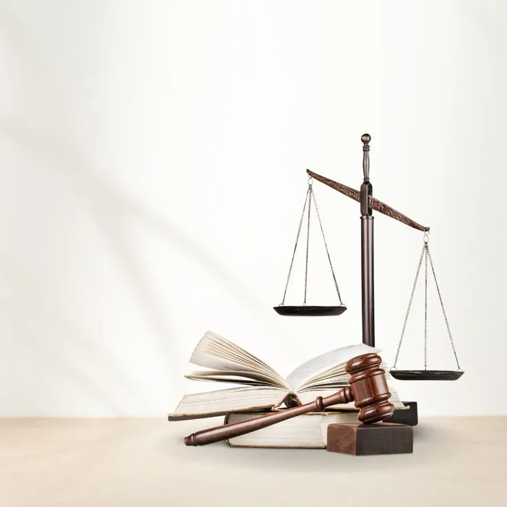 Experienced Law Firms in Delhi for Property and Family Disputes