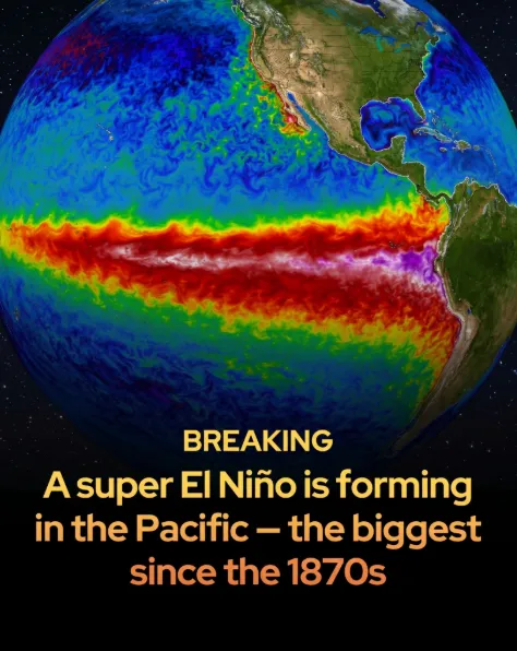 How El Niño Will Transform India's Monsoon in 2026