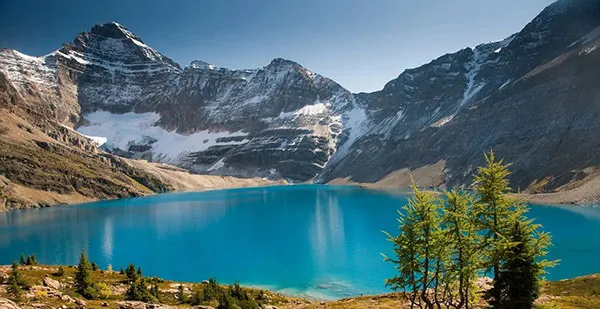 Medical Alert Systems British Columbia: Reliable Emergency Safety Solutions for Seniors