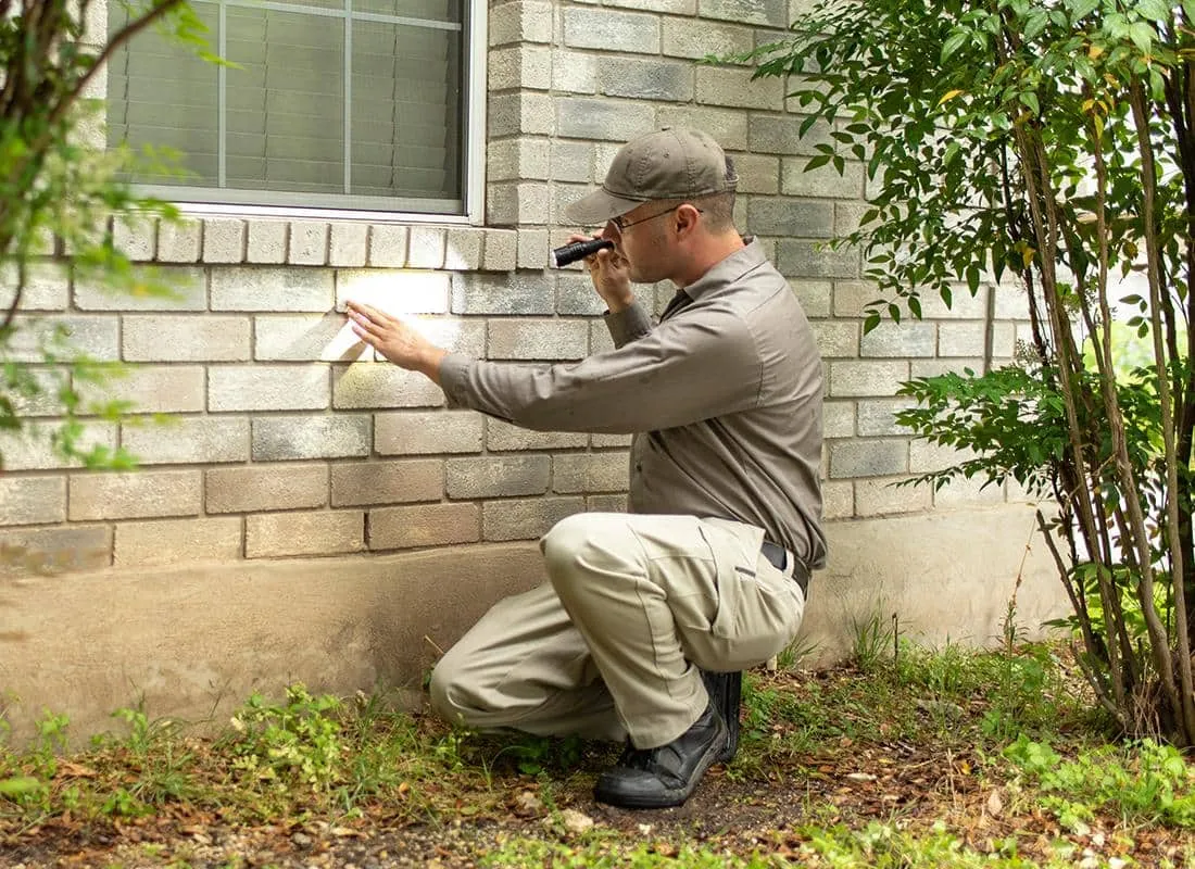 What's Living Rent Free in Your Home and How Residential Pest Control Evicts Them