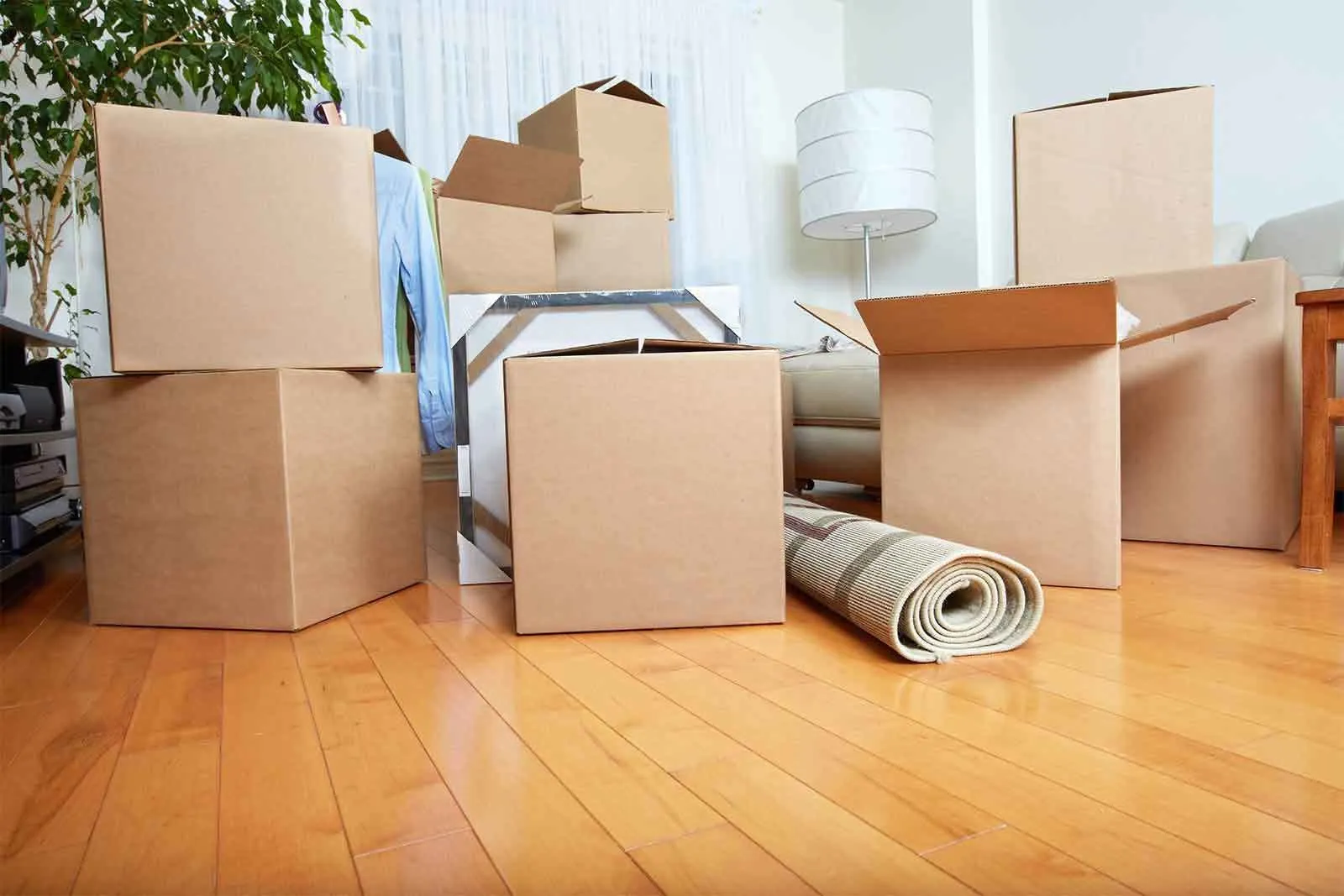 Best Movers Adelaide for Residential and Commercial Moving Needs